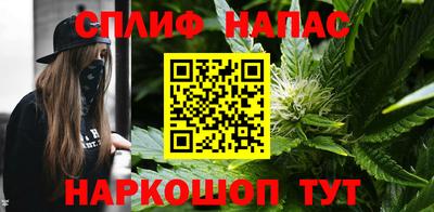 jwh Кингисепп