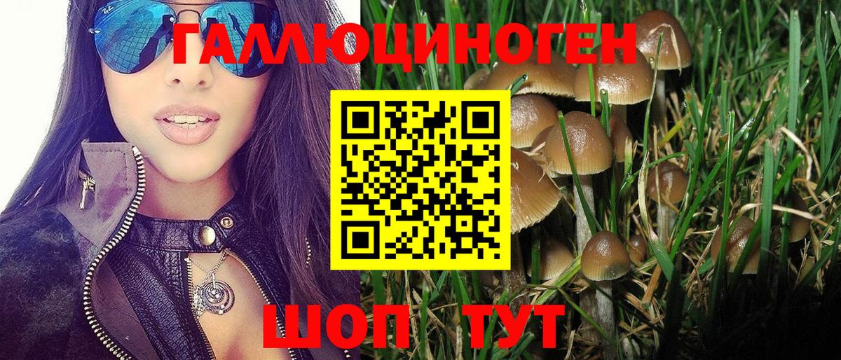Псилоцибиновые грибы GOLDEN TEACHER  Галлюциногенные грибы мицелий  Костомукша  Вход с VPN 